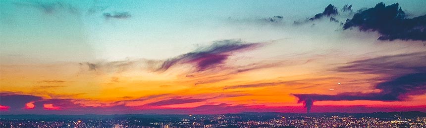 当阳茶虫网_当阳品茶